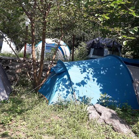 Kamp Seosko Domacinstvo Radman Hotel Herceg Novi Bagian luar foto