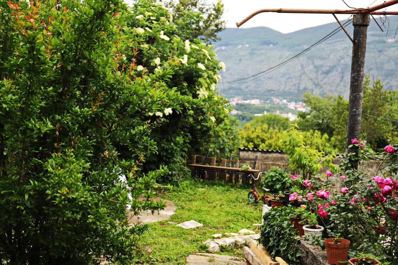 Kamp Seosko Domacinstvo Radman Hotel Herceg Novi Bagian luar foto