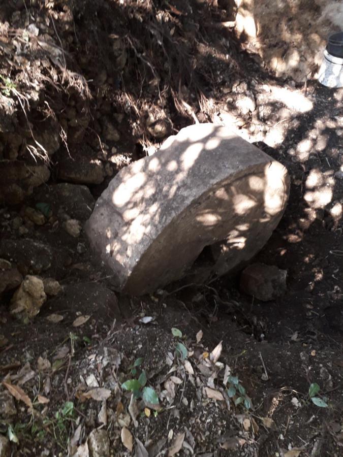 Kamp Seosko Domacinstvo Radman Hotel Herceg Novi Bagian luar foto