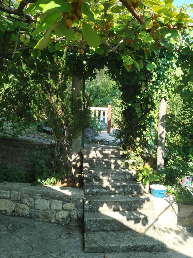 Kamp Seosko Domacinstvo Radman Hotel Herceg Novi Bagian luar foto