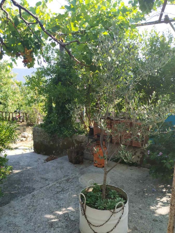 Kamp Seosko Domacinstvo Radman Hotel Herceg Novi Bagian luar foto