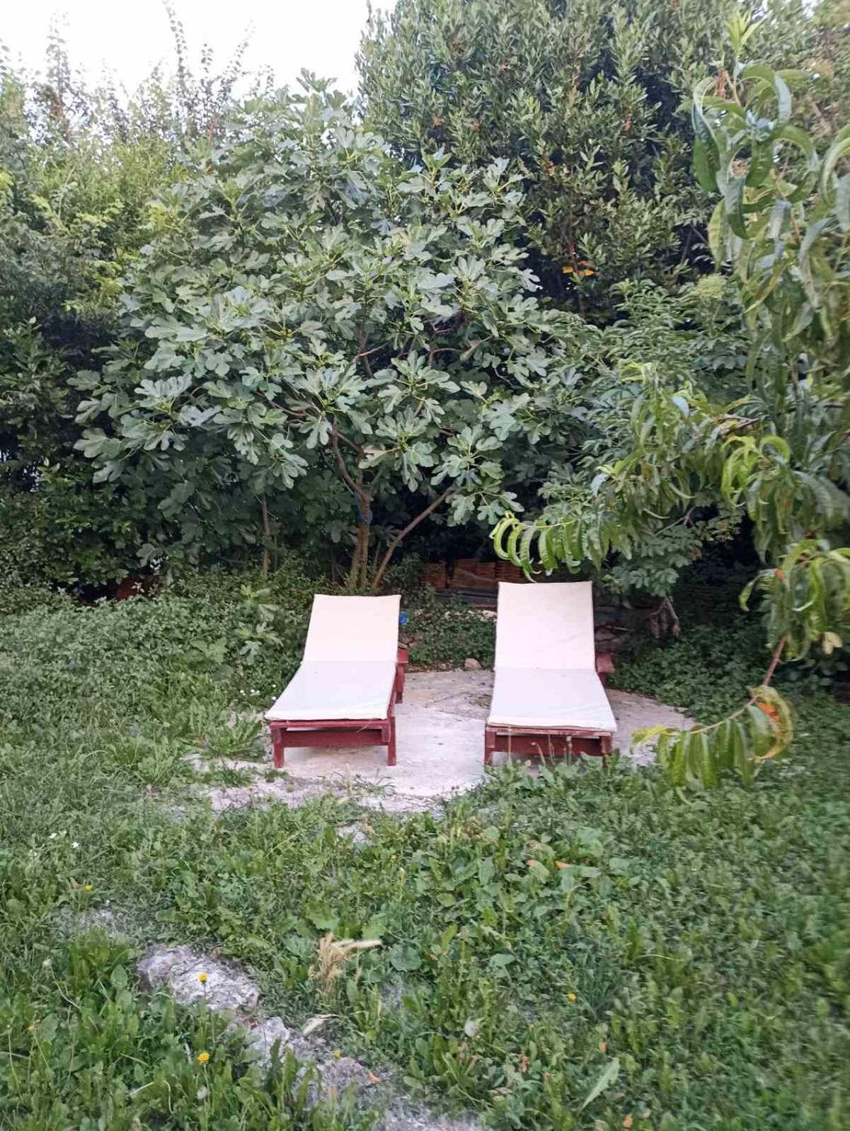 Kamp Seosko Domacinstvo Radman Hotel Herceg Novi Bagian luar foto