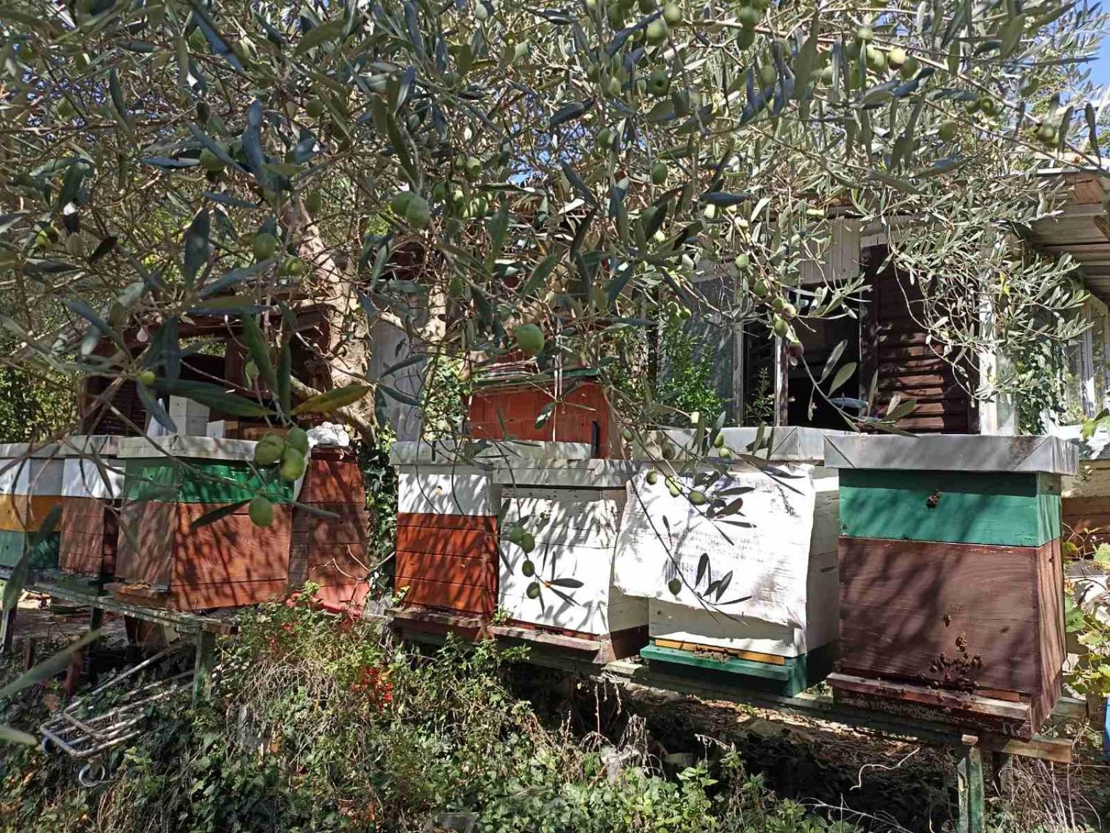 Kamp Seosko Domacinstvo Radman Hotel Herceg Novi Bagian luar foto