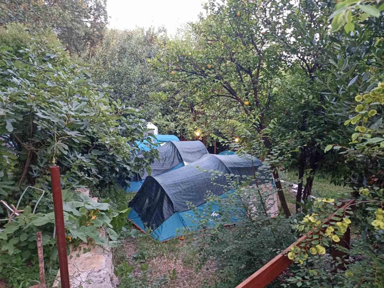 Kamp Seosko Domacinstvo Radman Hotel Herceg Novi Bagian luar foto